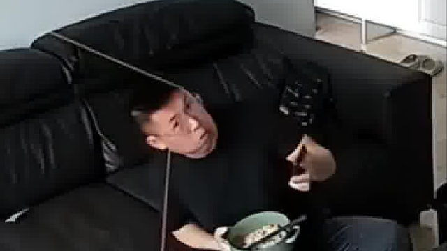 男子被猫用弹力带绑住头，结局居然是这