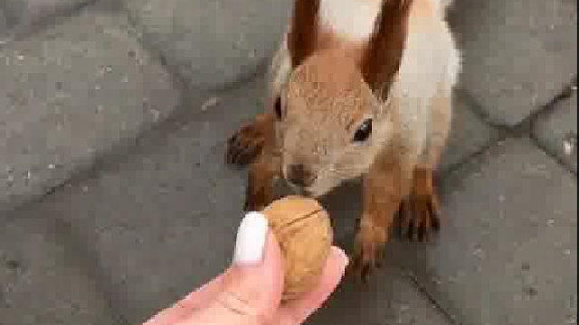 在公园里发现一个小可爱