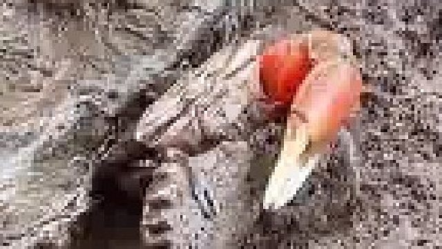 看什么看，关门了明天再来