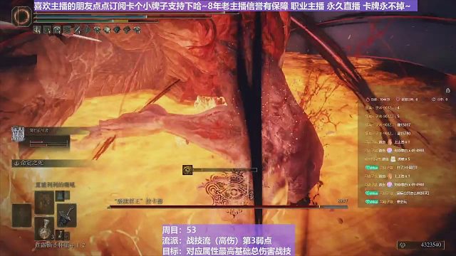 【沐】战技篇5-战技流（高伤）P3-8 大蛇P3（战技：命定之死 物理：普通 属性：圣 状态：烧血）