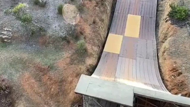 这胆子得要多大啊？