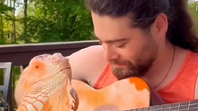 国外大叔花高价买了只宠物蜥蜴，养着养着发现买到宝啦