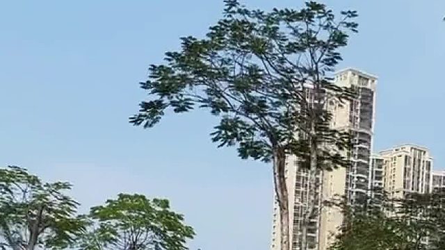 有了物质才能生存，有了理想才谈得上生活