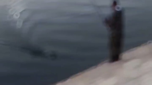 瞅瞅，人家拿龟乱扔都能打两水漂。