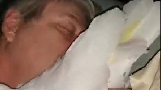 没想到鹦鹉也会怎么黏人