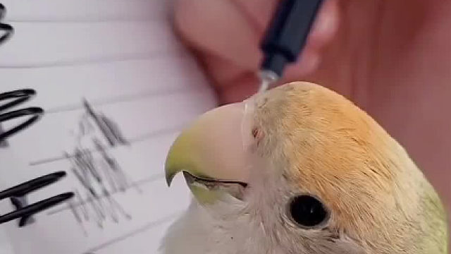 对方拒绝了你的爱心，坚持做一个橡皮擦