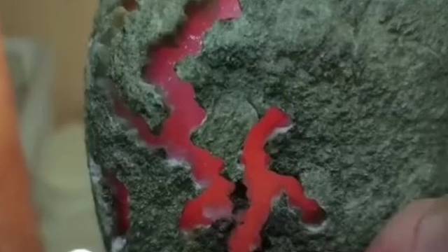 我发布了一个新视频，快来围观吧！