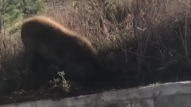 万物皆可啧啧啧