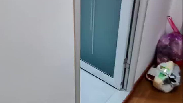 平时我找猫就是这么找的