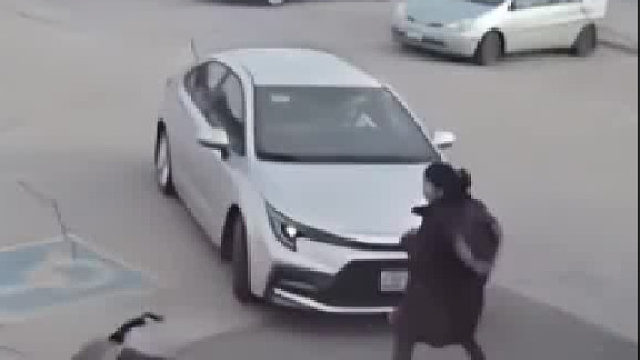 可怕！加拿大鹅一路对女子穷追猛打，还嚣张钻进车里，最后遭一脚踢开