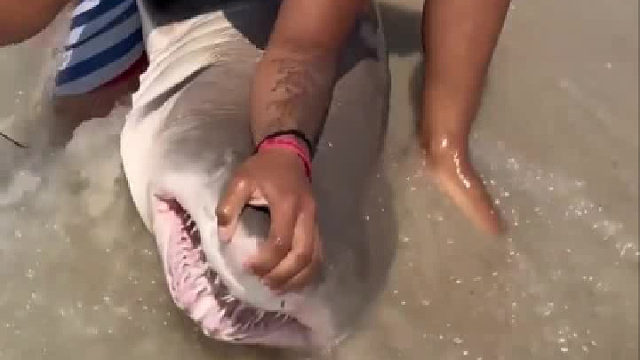 这如果发生在我们海岸上会如何？