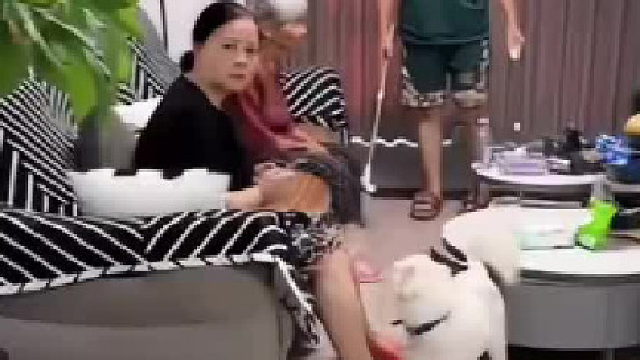 他们是怎么进去的