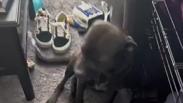 它用什么牙膏牙齿怎么白