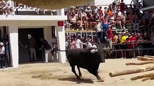 这么多人陪一头牛玩吗？不用上班的吗？