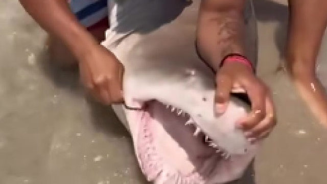 这一口牙咬一口那得多疼啊