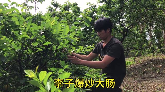 李子炒大肠，酸甜爽口开胃，广西人的下饭菜