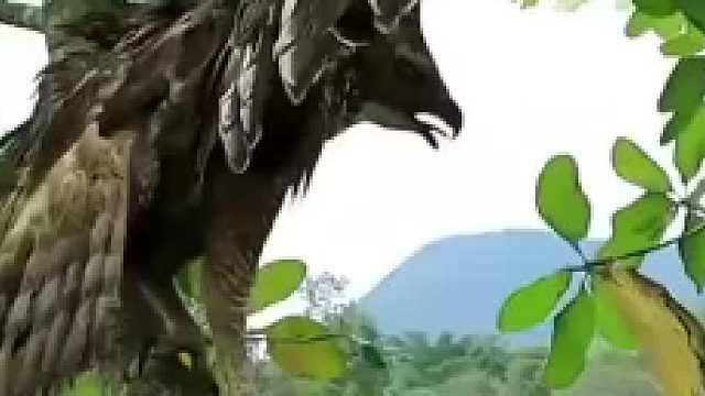 倒反天罡了这是