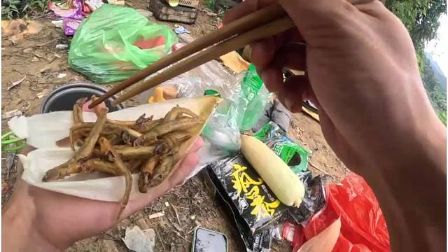 地笼爆笼油炸30条泥鳅（还挺不错的）