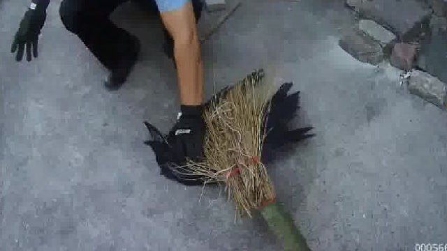 大鸟啄击路人被警察用扫帚降伏