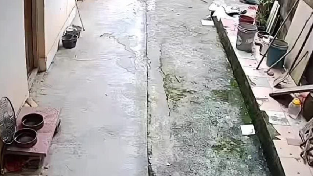 我直接目瞪狗呆