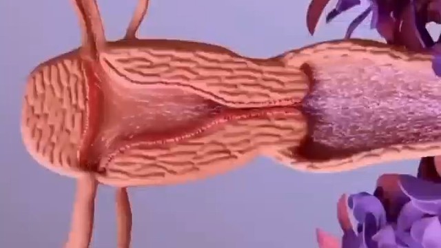 好身体才是打游戏的，缓解腰酸背痛