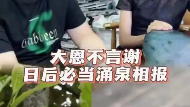 大恩不言谢，日后必当涌泉相报