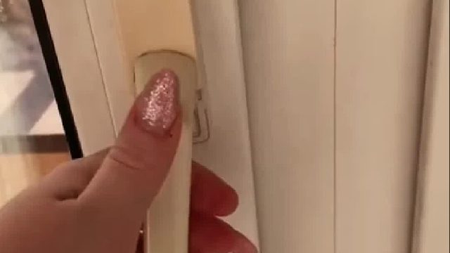 等了一天的主人回家，小狐狸委屈的撒娇