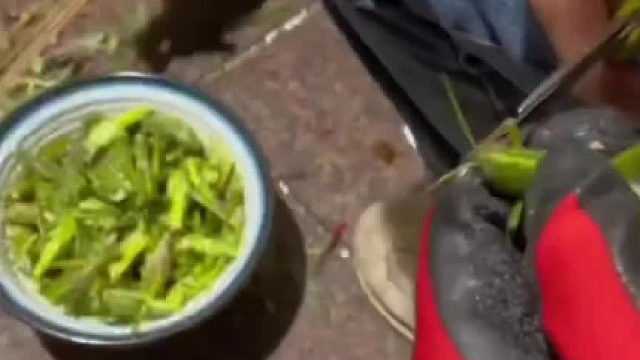 你吃过这道美食吗？