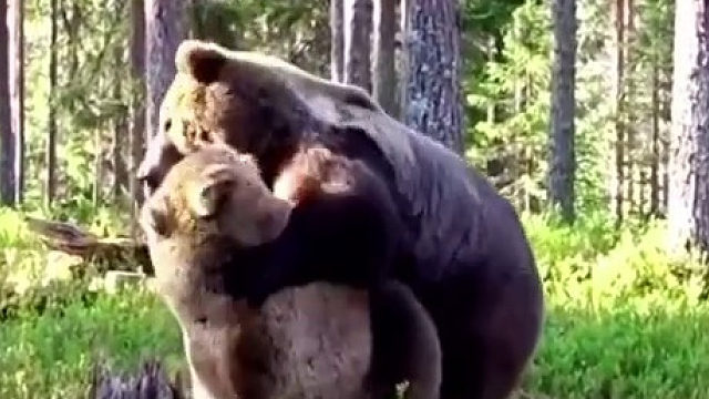 既分高下也分生死