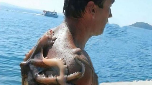 小伙在海里游泳，刚下海背上就剧痛大叫起来，上岸后家人高兴了！