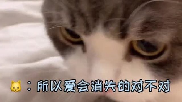 我怀疑它在骂我 千万不要看完！