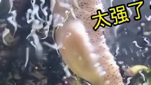 你认得出来你的娃吗