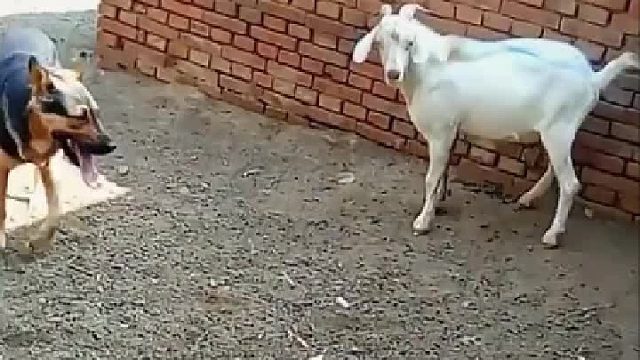 谁还没点脾气。