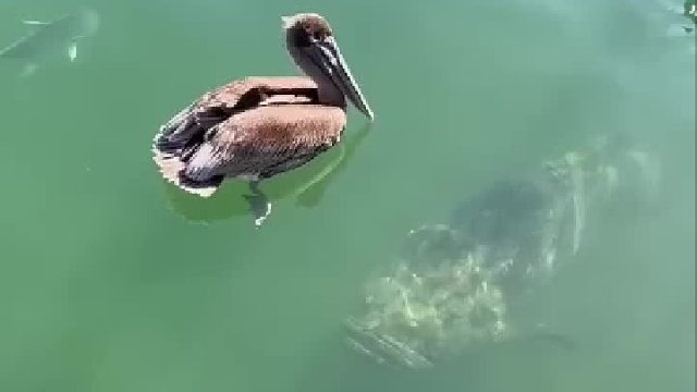 生死看淡，不服就干