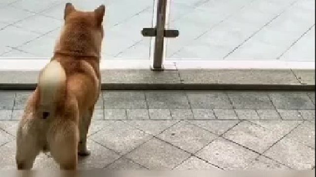 原谅我不厚道的笑了