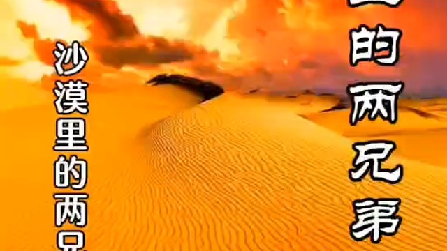 沙漠里的两兄弟