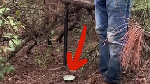 网友使用仪器精准定位菌窝