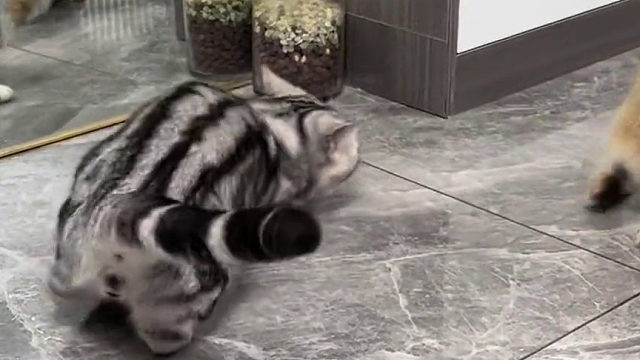 它翻身的时候感觉好轻