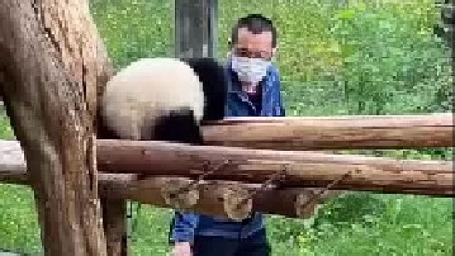 一瓶奶就都乖乖听话了，喝奶姿势好可爱