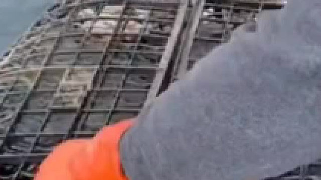 这个内容太有意思了，分享给你，快点开看看！