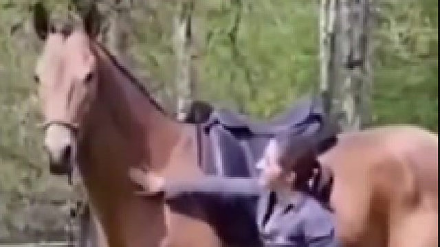 马：我懂了，是这样不