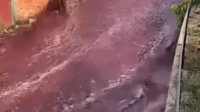 阿纳迪亚市一家酿酒厂的两个酒罐爆裂，致使220万升葡萄酒涌入街头，整条街道都被“葡萄酒的河流”淹没。