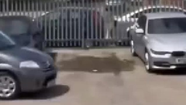 很难想象车子里面坐了个人