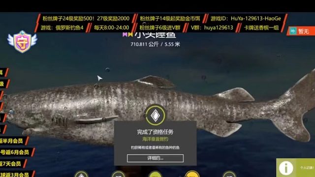 星小头起鱼视频