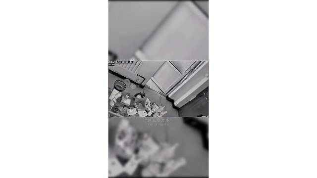 你不在家的时候你的猫咪在干嘛