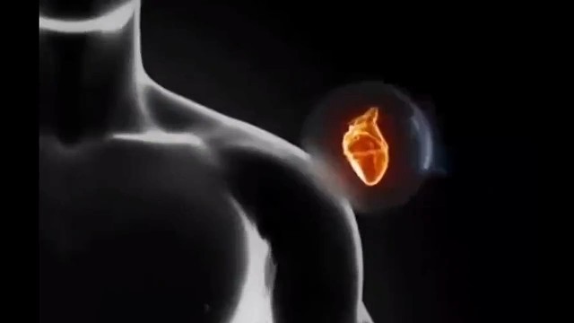 交感神经对胃肠的作用