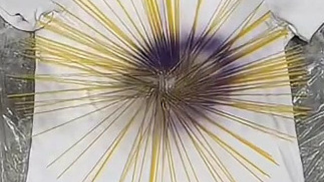 脸书上声称标价1000美元的T恤——就这？