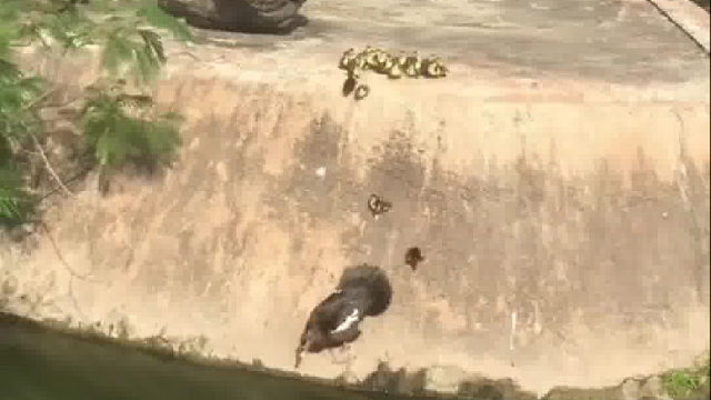 排好队，不要慌…