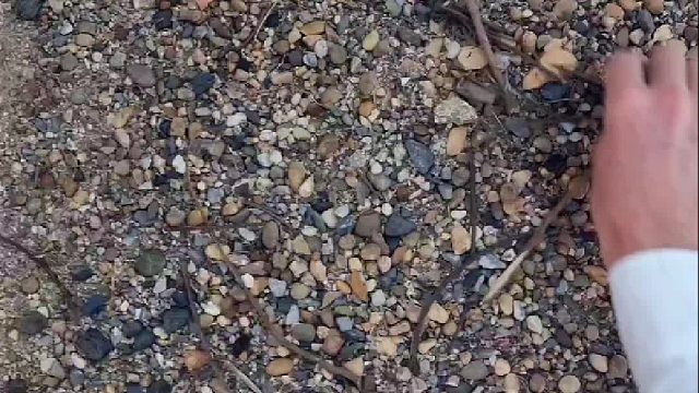 普通人：一堆鹅卵石。 艺术家：这不是隐藏款小猫咪吗？