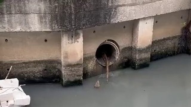 本来挺严肃的，那两条腿给整乐了